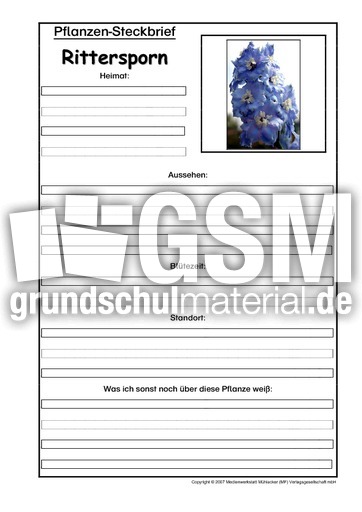Pflanzensteckbrief-Rittersporn.pdf